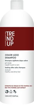 Trend UP Szampon Color LOCK kwaśne PH 1000ml